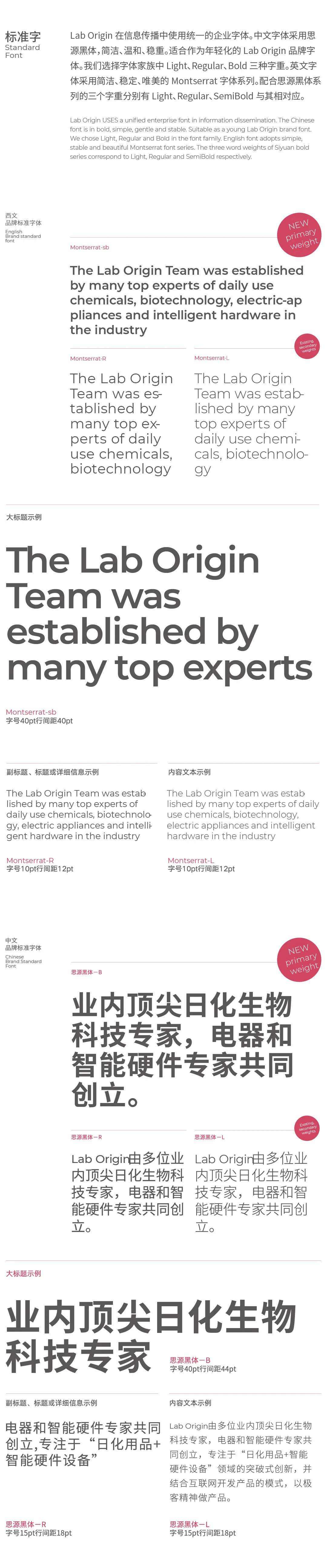 Lab Origin 中英文标准字体与字号规范说明版面